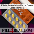 Effets Secondaires De La Gelée Orale Kamagra 42